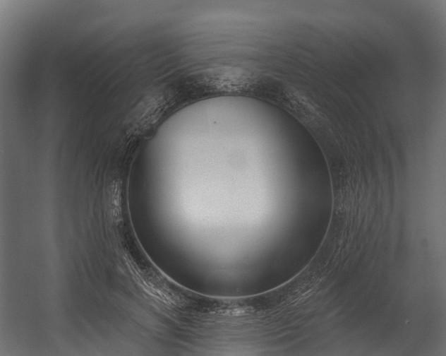 X0000058810646200510031348