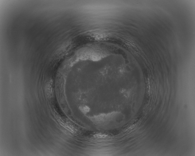 X0000058810650200510031348