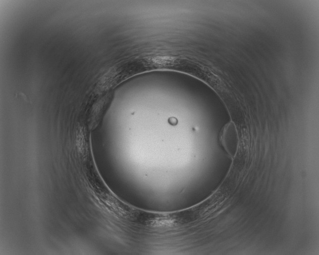 X0000058810651200510031348