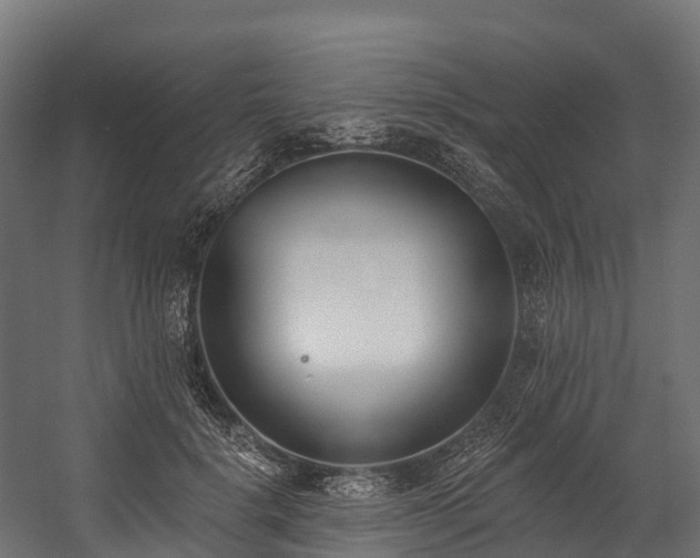 X0000058810652200510031348