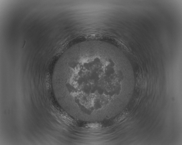 X0000058810659200510031348