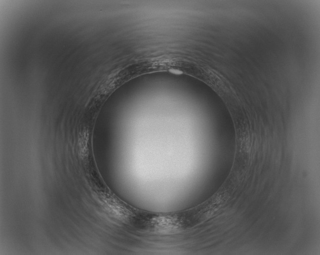 X0000058810660200510031348