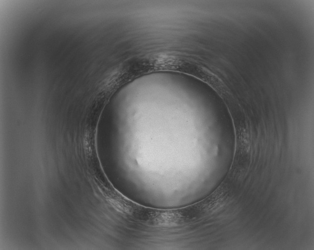 X0000058810663200510031348