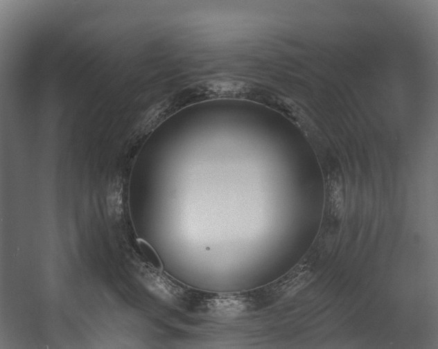 X0000058810668200510031348