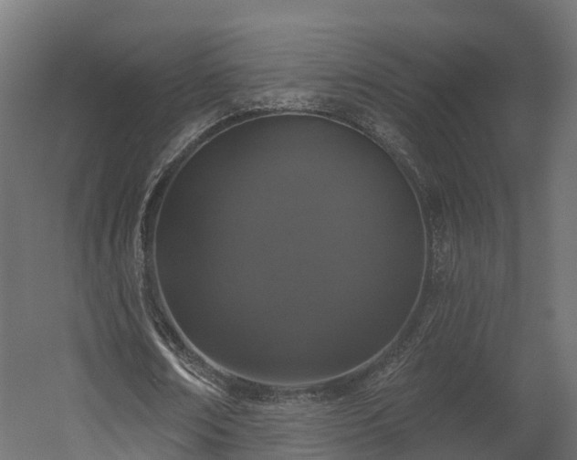 X0000058810674200510031347