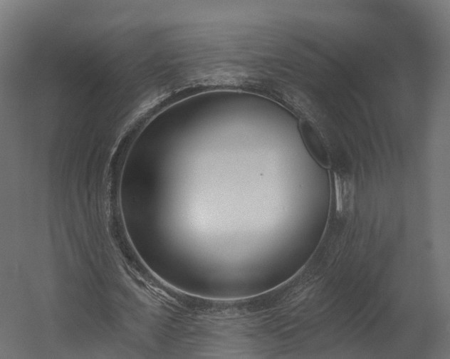 X0000058810675200510031347