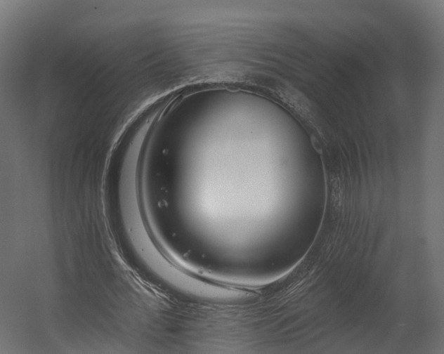 X0000058810676200510031347