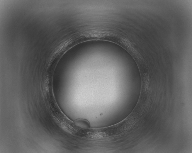 X0000058810683200510031347