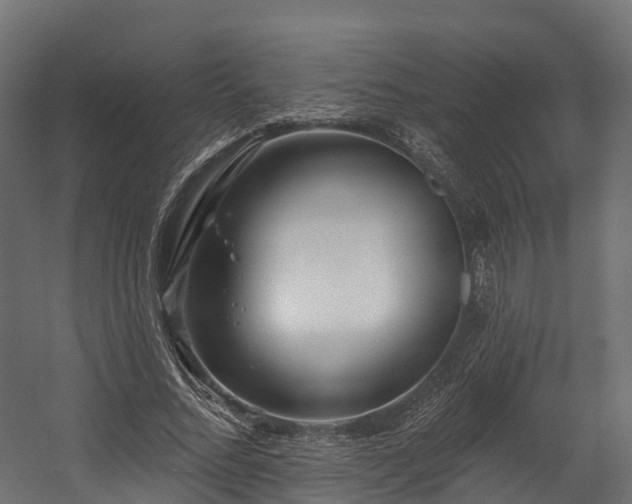 X0000058810684200510031347