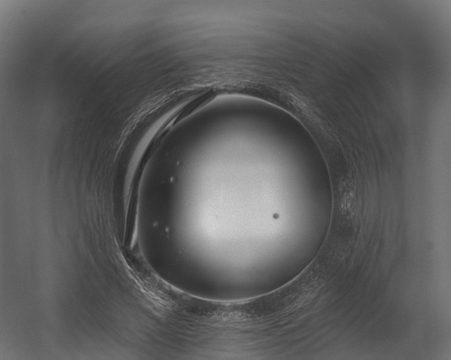 X0000058810685200510031347