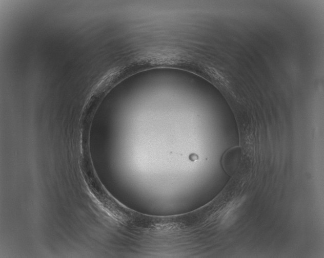 X0000058810686200510031347