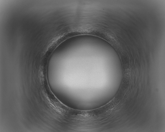 X0000058810688200510031347