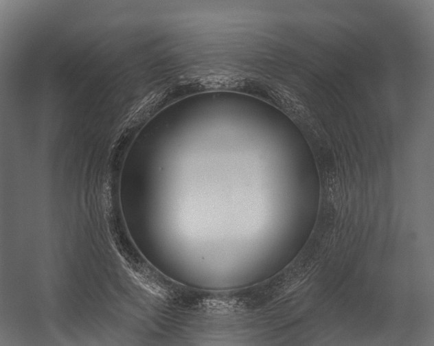 X0000058810690200510031347