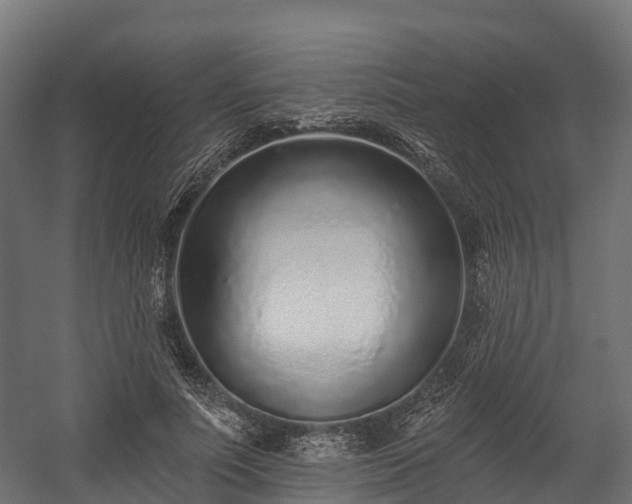 X0000058810691200510031347