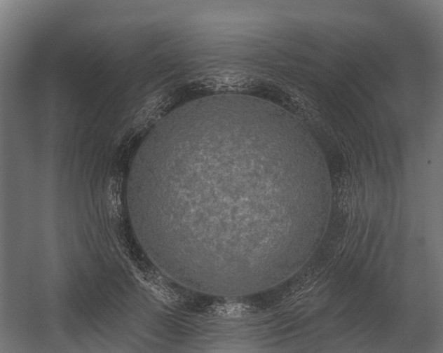 X0000058810695200510031347