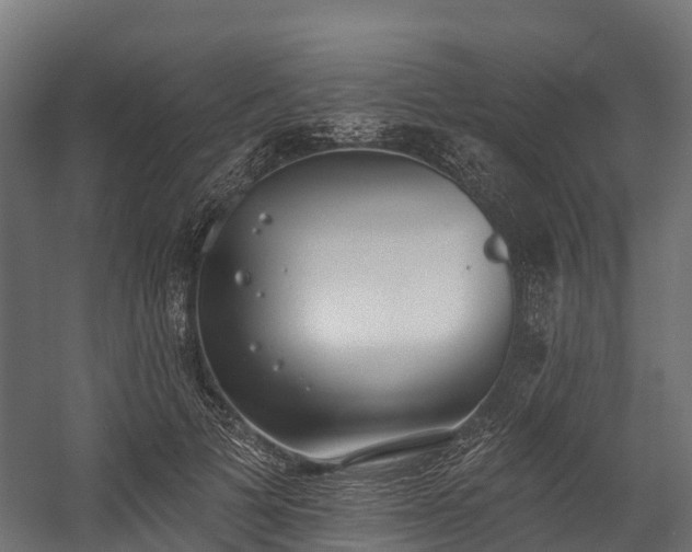 X0000058810697200510031347