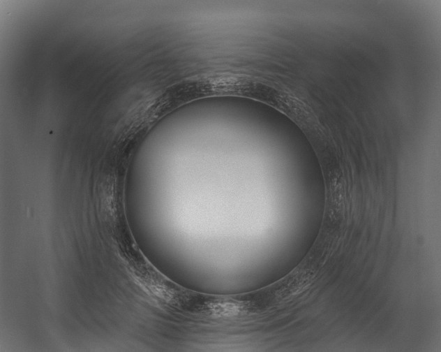 X0000058810698200510031347