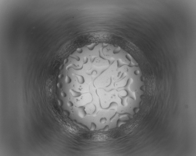 X0000058810701200510031347