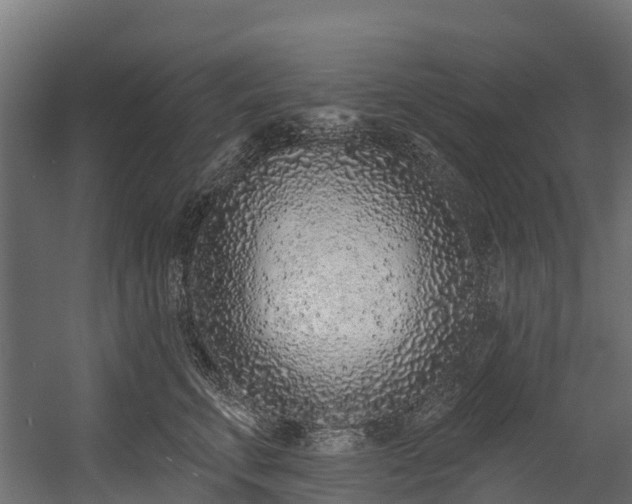 X0000058810711200510031347