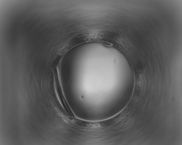 X0000058810715200510031347