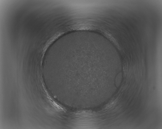 X0000058810721200510031346