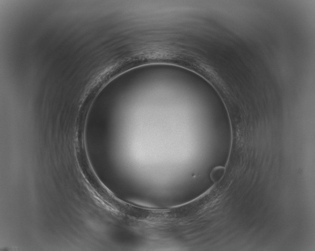 X0000058810725200510031346