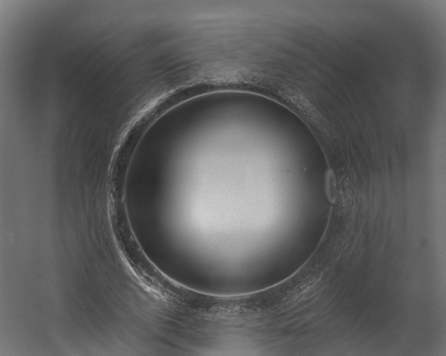 X0000058810728200510031346