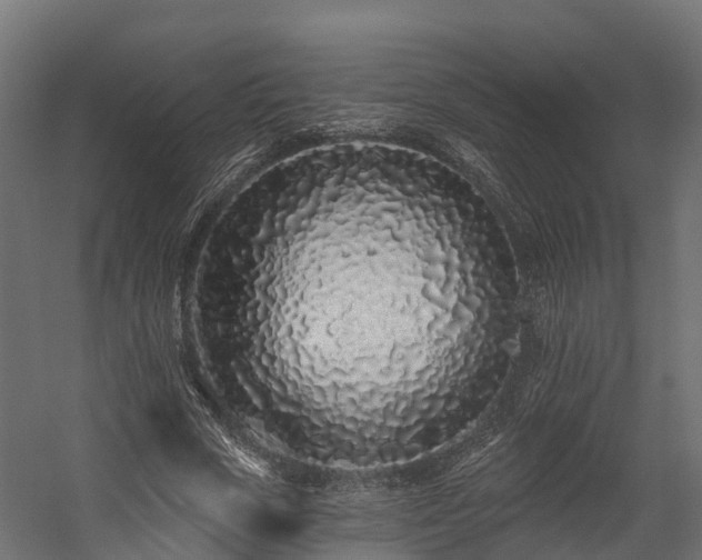 X0000058810729200510031346