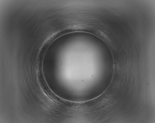 X0000058810732200510031346