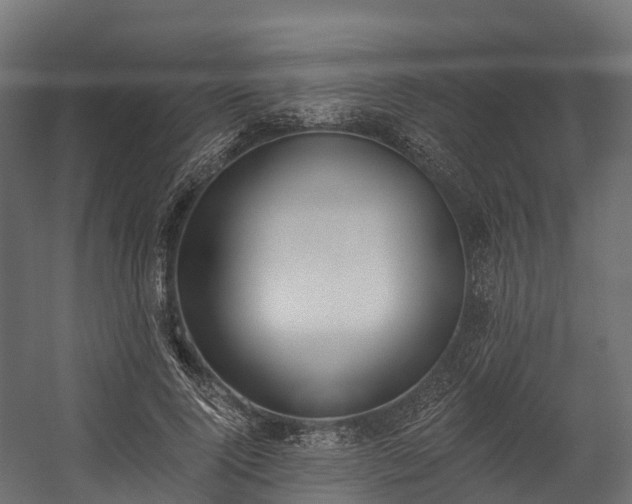 X0000058810740200510031346