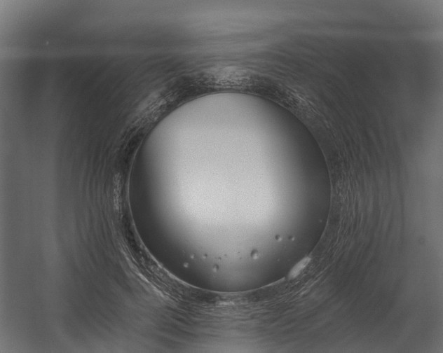 X0000058810744200510031346