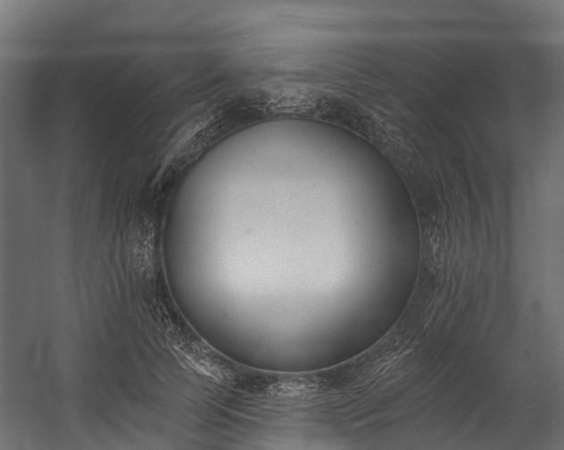 X0000058810745200510031346