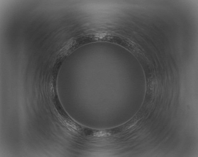 X0000058810754200510031346