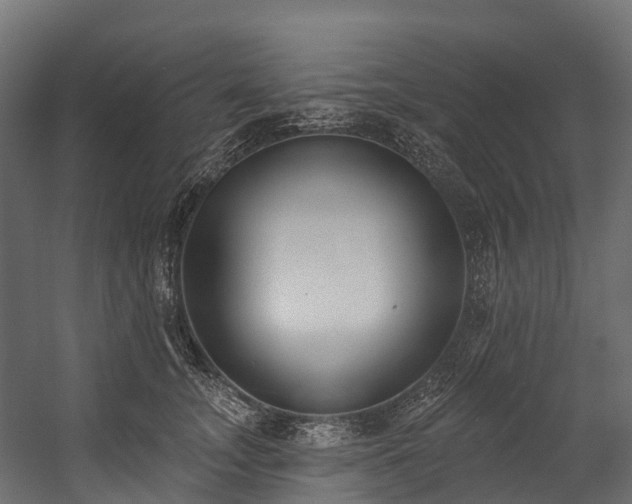 X0000058810755200510031346