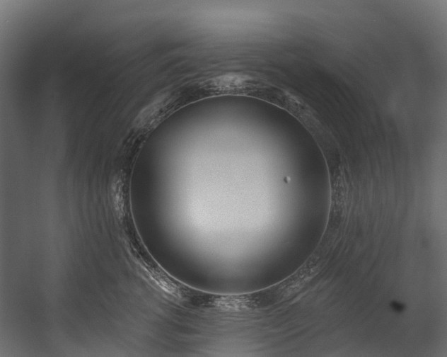 X0000058810762200510031346