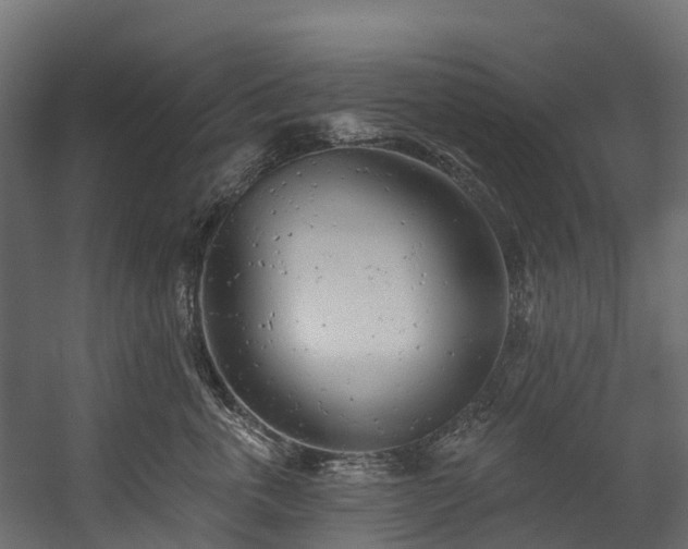 X0000058810763200510031347