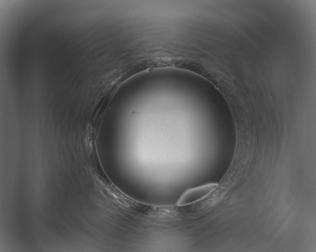 X0000058810768200510031347