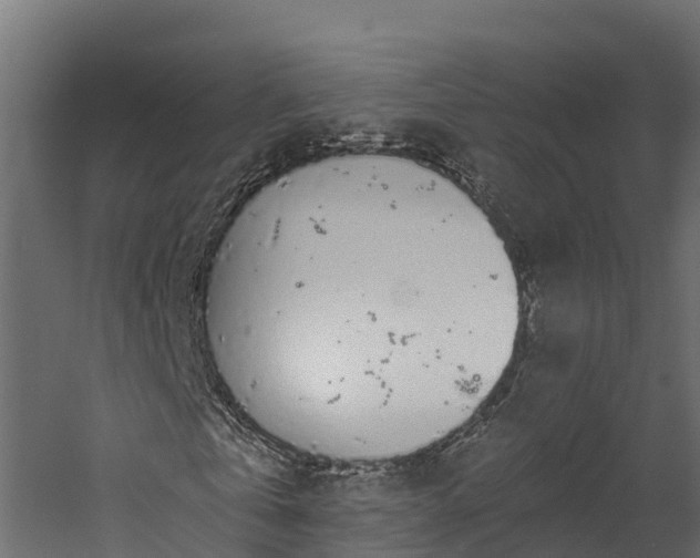 X0000058810769200510031346