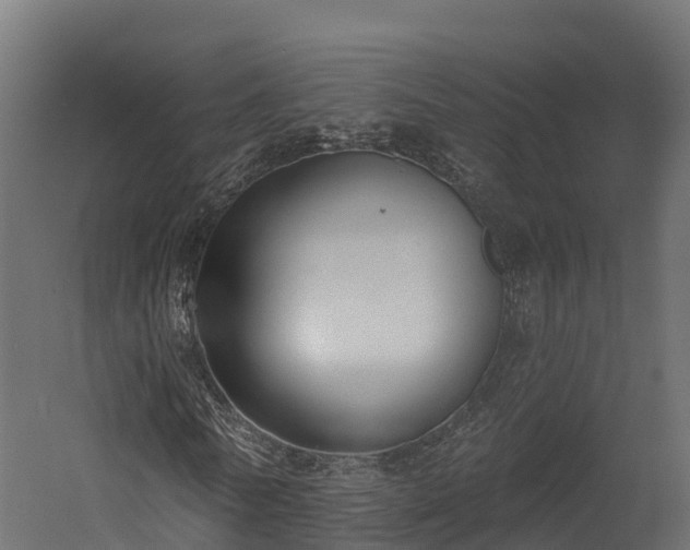 X0000058810770200510031346