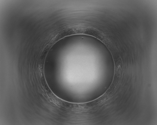 X0000058810772200510031346