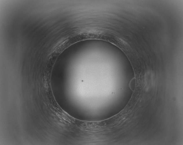 X0000058810774200510031346