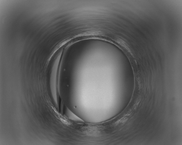 X0000058810781200510031345