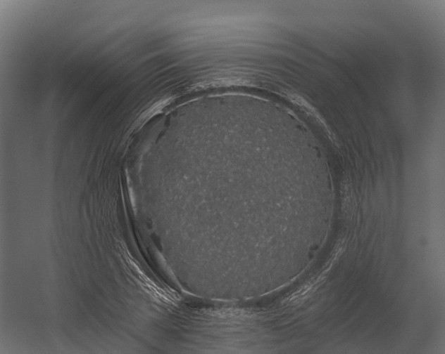 X0000058810785200510031345