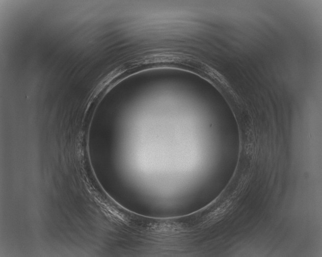 X0000058810786200510031345