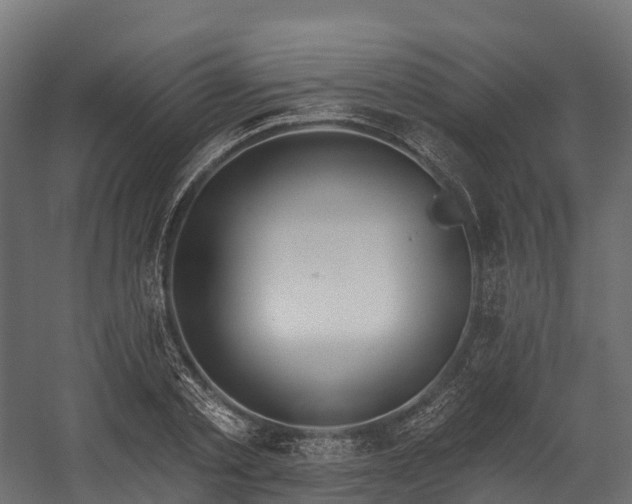 X0000058810789200510031345