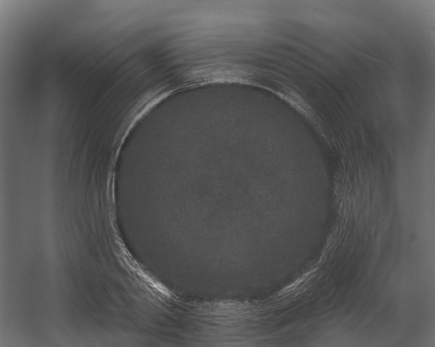 X0000058810790200510031345