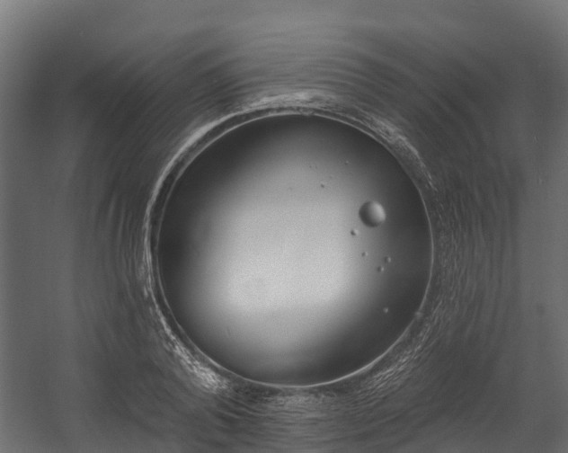 X0000058810792200510031345