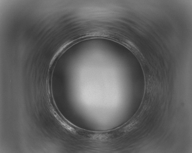 X0000058810796200510031345