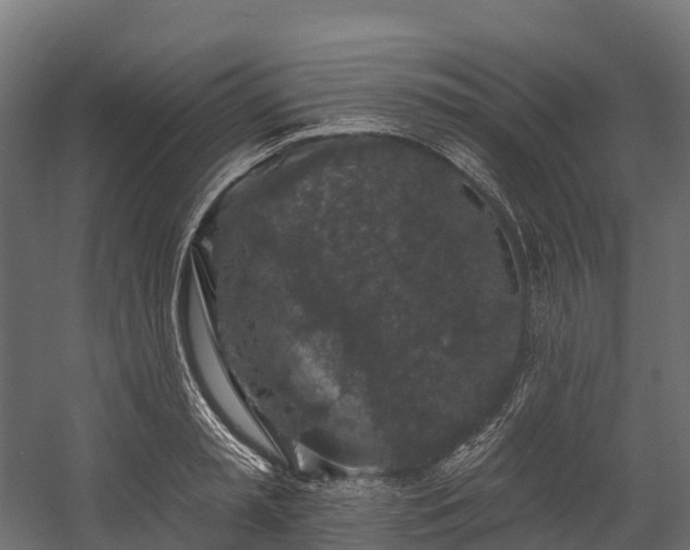 X0000058810797200510031345