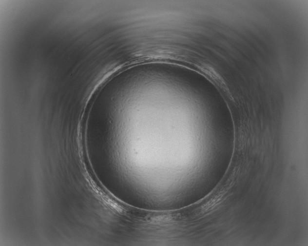 X0000058810798200510031345